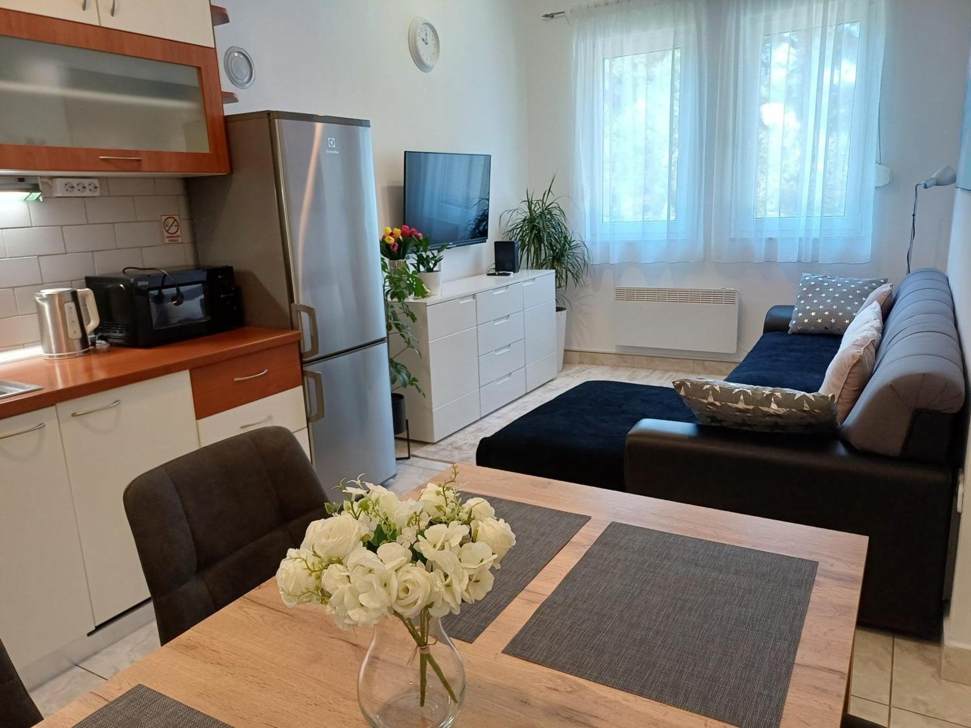 Springjoy Apartment Zadar